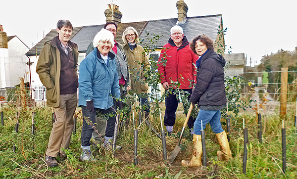 The team involved in planting replacement hollies donated kindly by Fiona Boucher